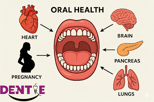More Than a Smile: How Oral Health Dictates Your Whole-Body Wellness